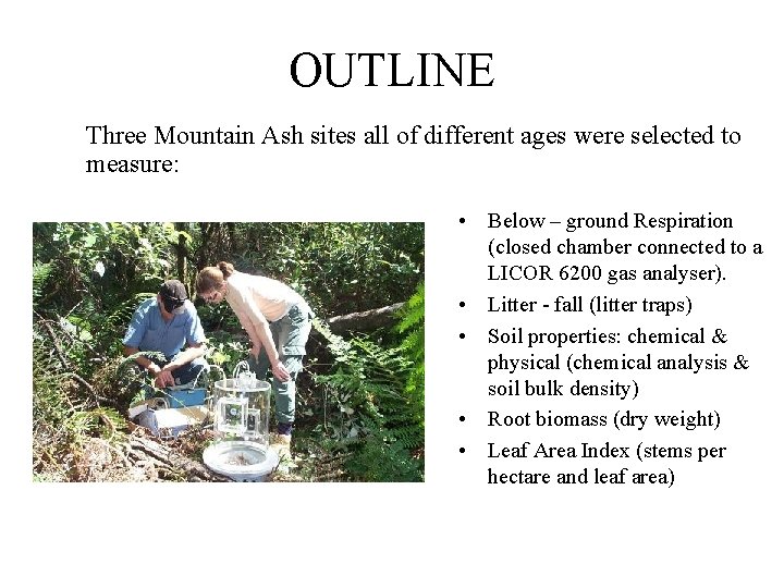 OUTLINE Three Mountain Ash sites all of different ages were selected to measure: •