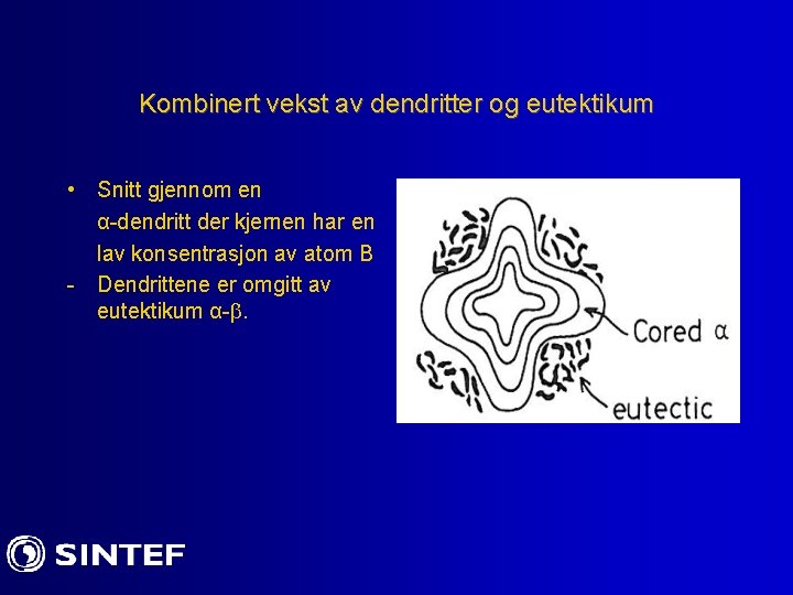 Kombinert vekst av dendritter og eutektikum • Snitt gjennom en α-dendritt der kjernen har