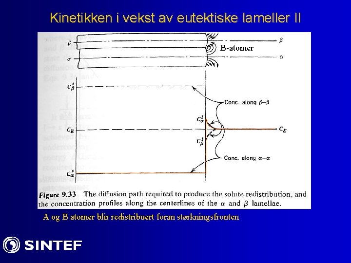 Kinetikken i vekst av eutektiske lameller II B-atomer A og B atomer blir redistribuert