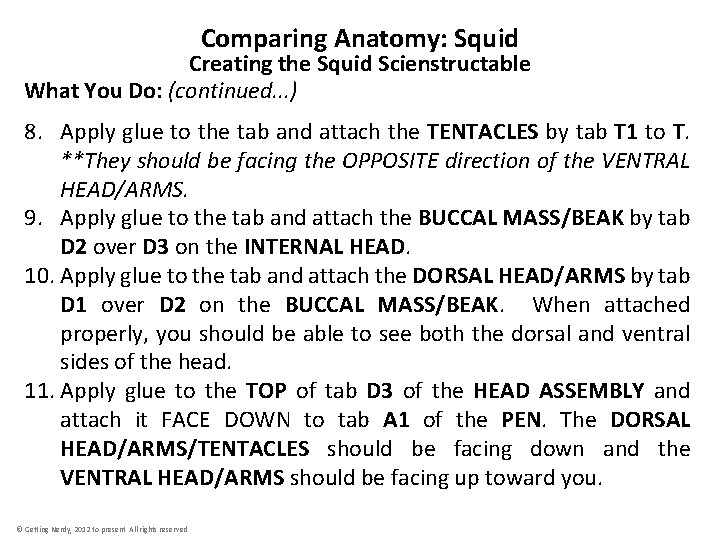 Comparing Anatomy: Squid Creating the Squid Scienstructable What You Do: (continued. . . )