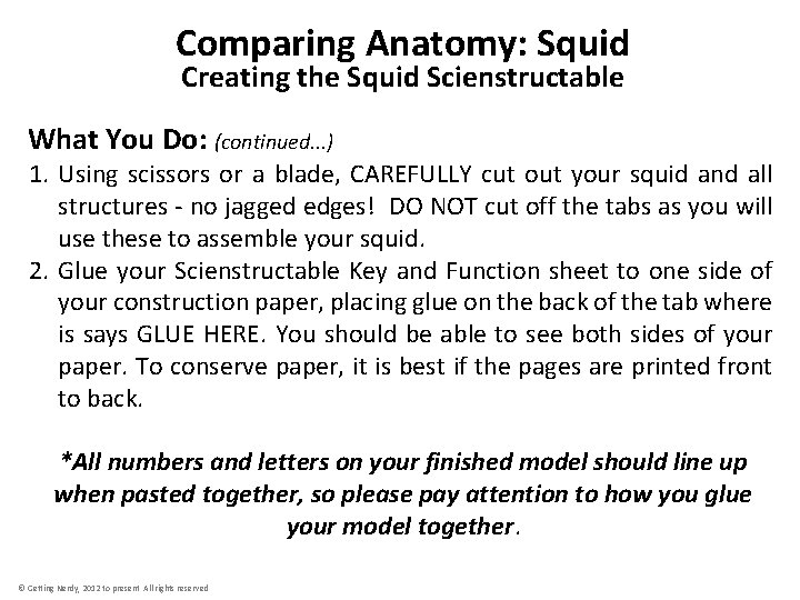 Comparing Anatomy: Squid Creating the Squid Scienstructable What You Do: (continued. . . )