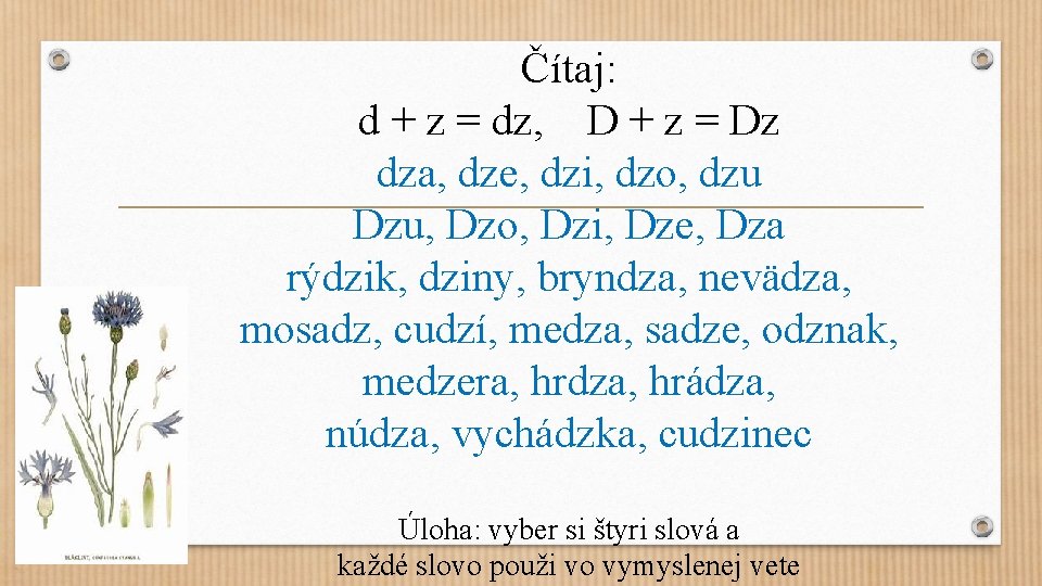 Čítaj: d + z = dz, D + z = Dz dza, dze, dzi,