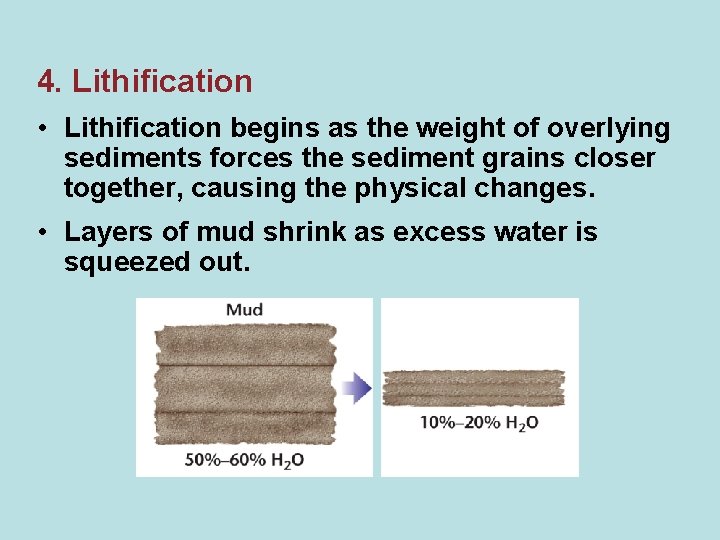 4. Lithification • Lithification begins as the weight of overlying sediments forces the sediment