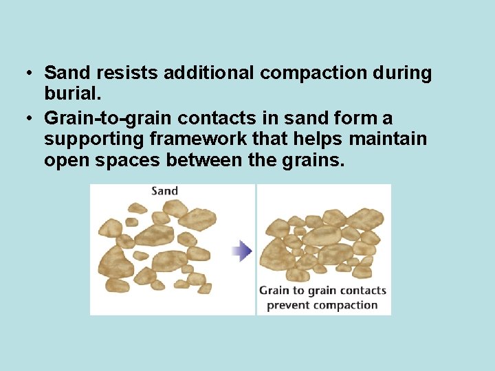  • Sand resists additional compaction during burial. • Grain-to-grain contacts in sand form