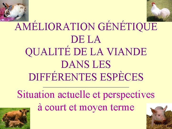 AMÉLIORATION GÉNÉTIQUE DE LA QUALITÉ DE LA VIANDE DANS LES DIFFÉRENTES ESPÈCES _______________________ Situation