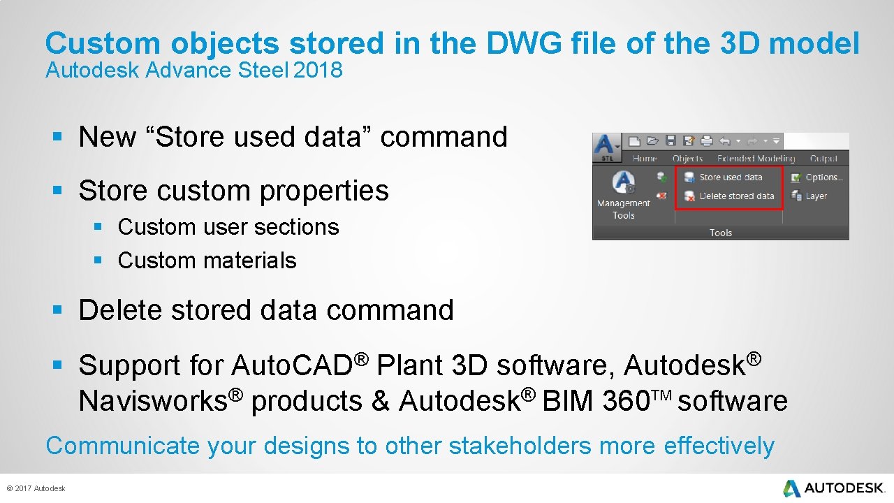 Custom objects stored in the DWG file of the 3 D model Autodesk Advance