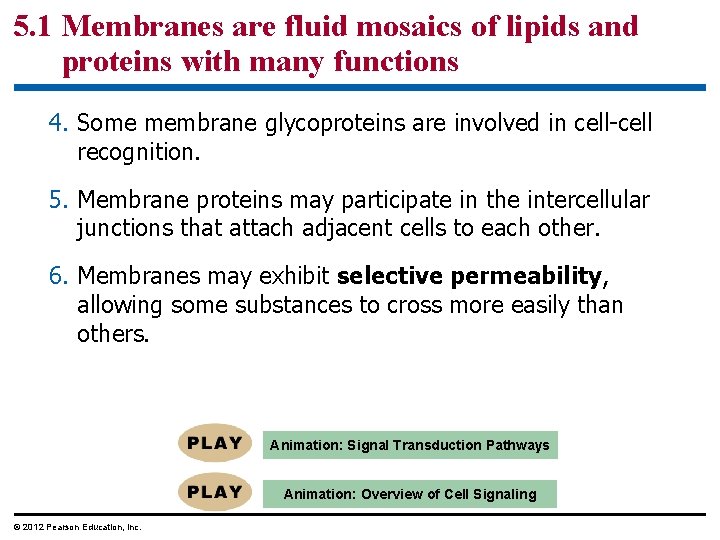 5. 1 Membranes are fluid mosaics of lipids and proteins with many functions 4.
