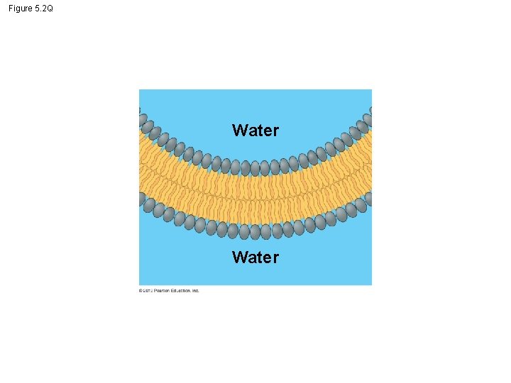 Figure 5. 2 Q Water 