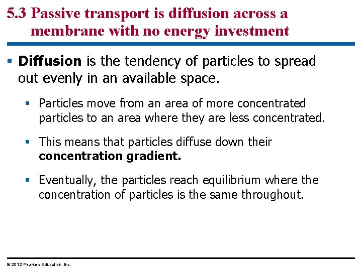 5. 3 Passive transport is diffusion across a membrane with no energy investment §