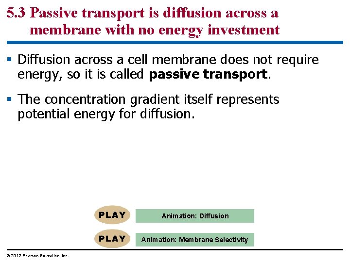 5. 3 Passive transport is diffusion across a membrane with no energy investment §