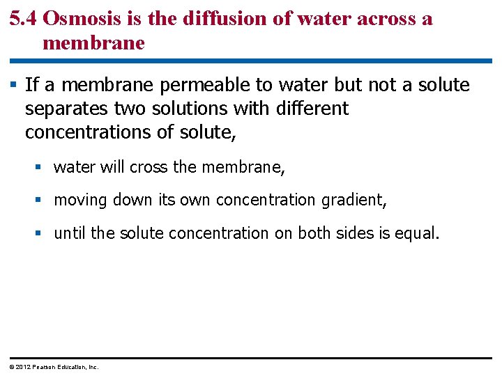 5. 4 Osmosis is the diffusion of water across a membrane § If a