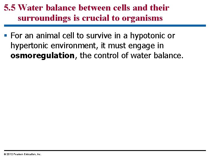 5. 5 Water balance between cells and their surroundings is crucial to organisms §