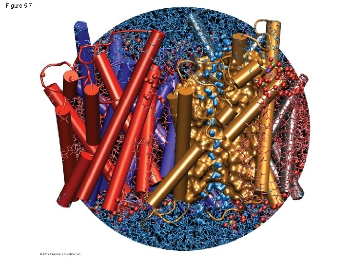 Figure 5. 7 