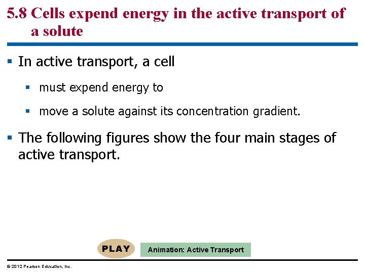 5. 8 Cells expend energy in the active transport of a solute § In