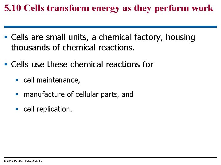 5. 10 Cells transform energy as they perform work § Cells are small units,