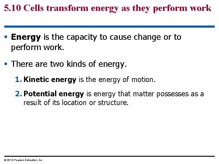5. 10 Cells transform energy as they perform work § Energy is the capacity