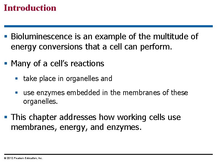 Introduction § Bioluminescence is an example of the multitude of energy conversions that a
