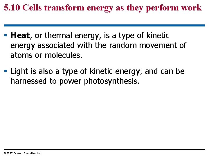 5. 10 Cells transform energy as they perform work § Heat, or thermal energy,