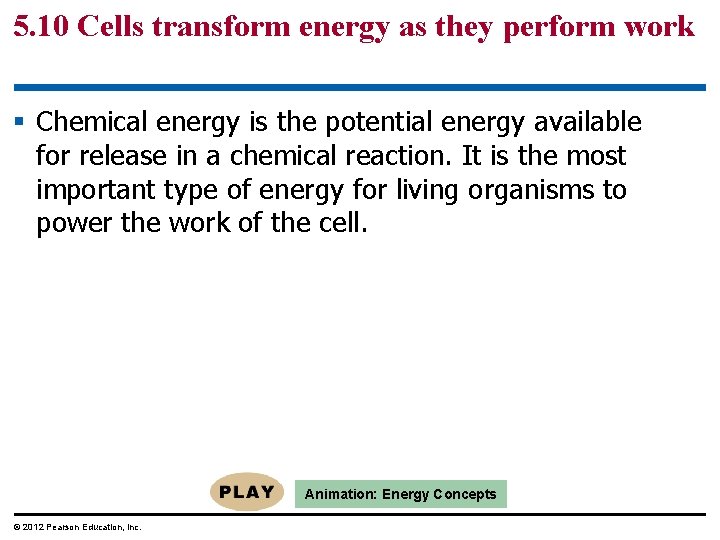 5. 10 Cells transform energy as they perform work § Chemical energy is the