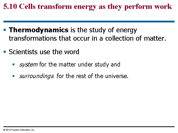 5. 10 Cells transform energy as they perform work § Thermodynamics is the study