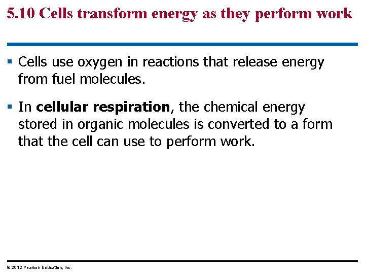 5. 10 Cells transform energy as they perform work § Cells use oxygen in