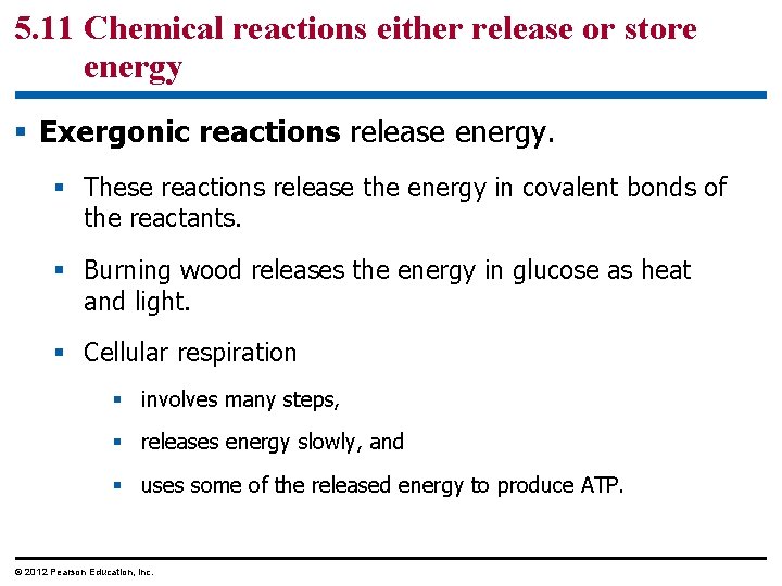 5. 11 Chemical reactions either release or store energy § Exergonic reactions release energy.