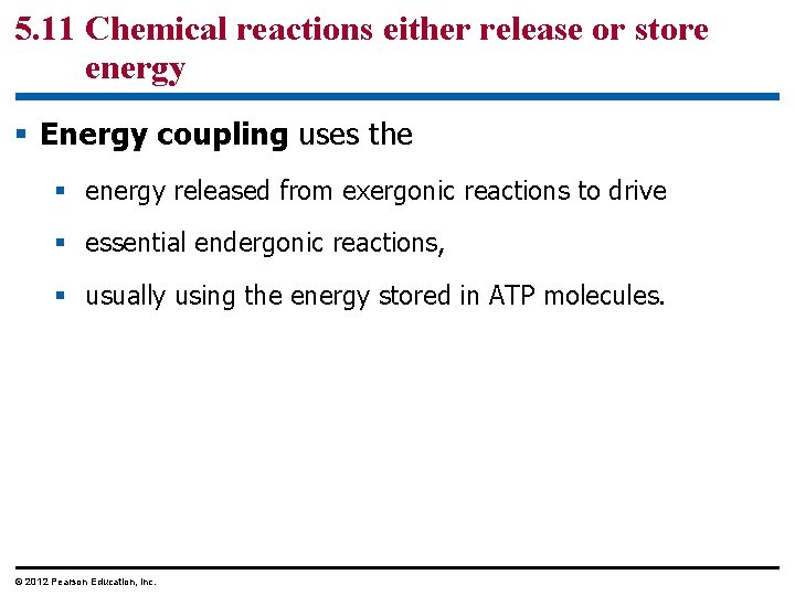 5. 11 Chemical reactions either release or store energy § Energy coupling uses the