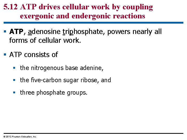 5. 12 ATP drives cellular work by coupling exergonic and endergonic reactions § ATP,