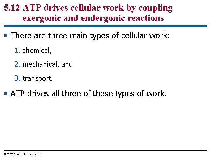 5. 12 ATP drives cellular work by coupling exergonic and endergonic reactions § There