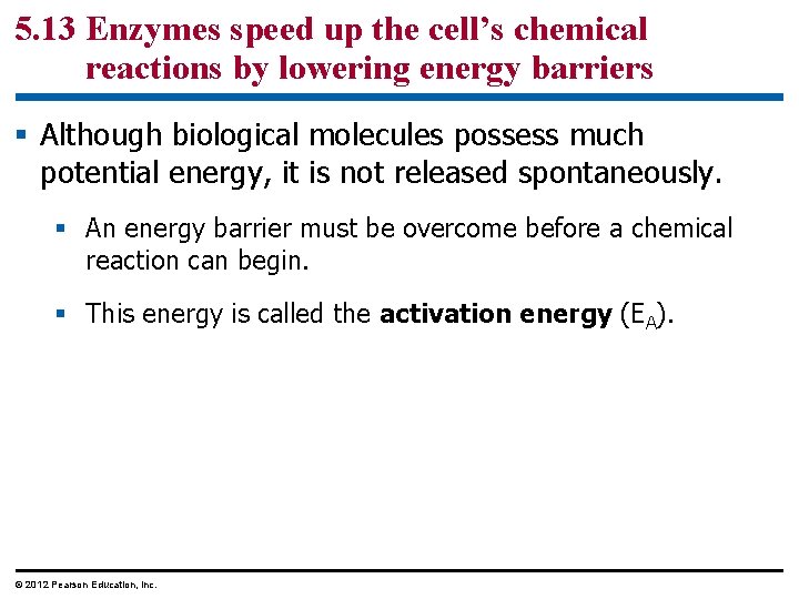 5. 13 Enzymes speed up the cell’s chemical reactions by lowering energy barriers §