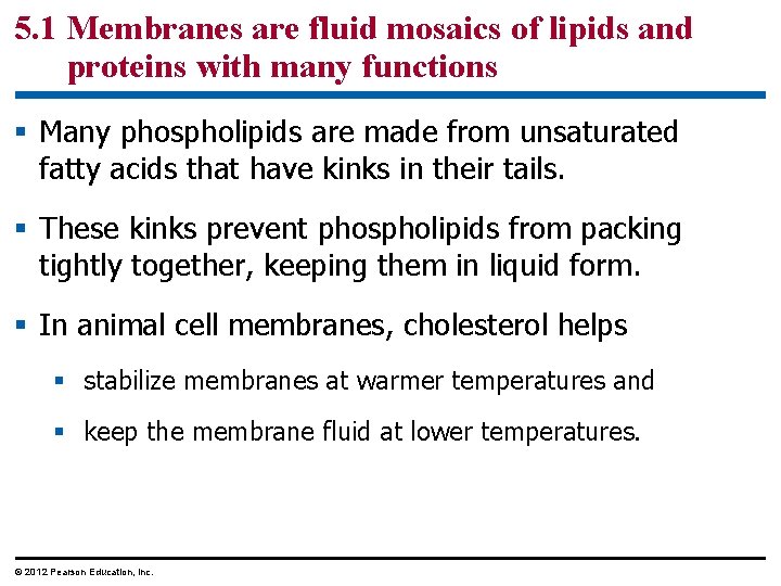 5. 1 Membranes are fluid mosaics of lipids and proteins with many functions §