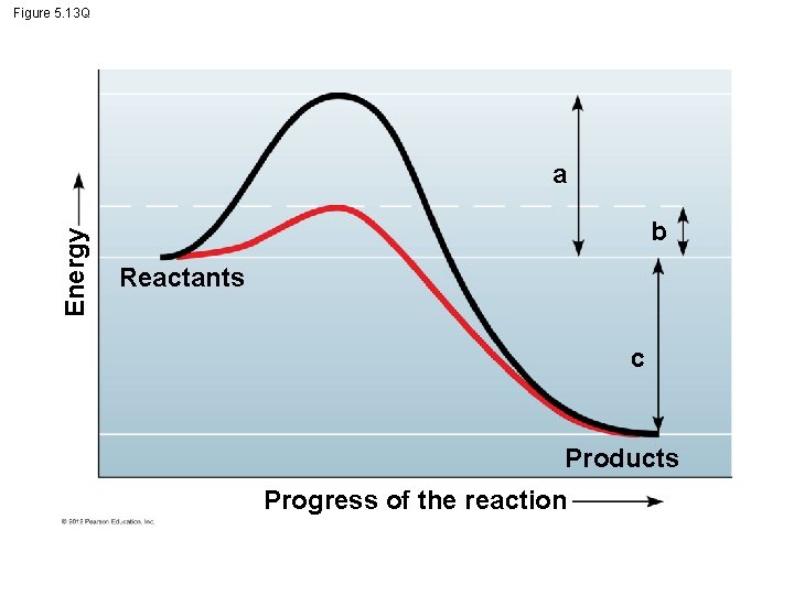 Figure 5. 13 Q Energy a b Reactants c Products Progress of the reaction