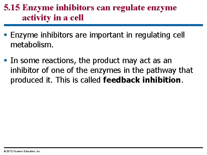 5. 15 Enzyme inhibitors can regulate enzyme activity in a cell § Enzyme inhibitors