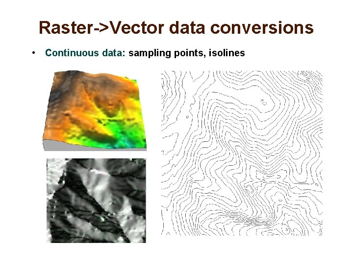 Raster->Vector data conversions • Continuous data: sampling points, isolines 