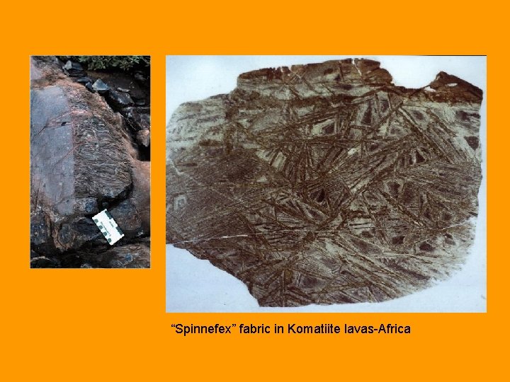 “Spinnefex” fabric in Komatiite lavas-Africa 