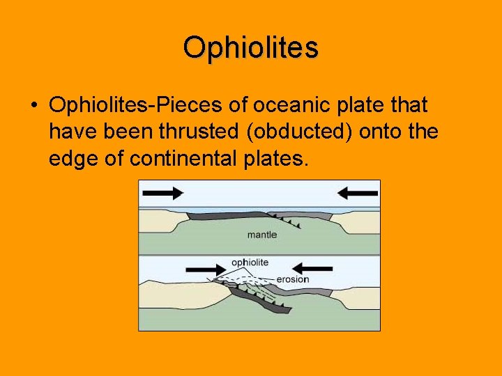 Ophiolites • Ophiolites-Pieces of oceanic plate that have been thrusted (obducted) onto the edge