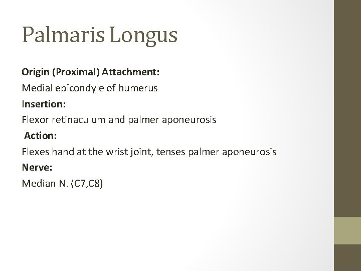 Palmaris Longus Origin (Proximal) Attachment: Medial epicondyle of humerus Insertion: Flexor retinaculum and palmer