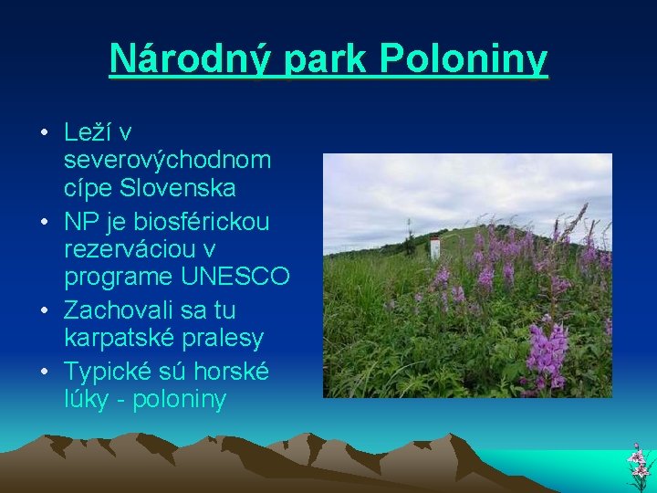 Národný park Poloniny • Leží v severovýchodnom cípe Slovenska • NP je biosférickou rezerváciou