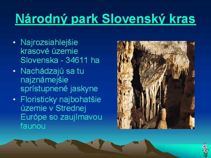 Národný park Slovenský kras • Najrozsiahlejšie krasové územie Slovenska - 34611 ha • Nachádzajú