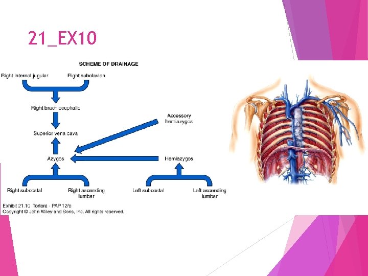 21_EX 10 