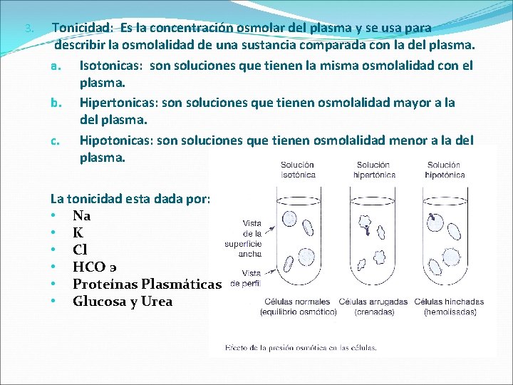 3. Tonicidad: Es la concentración osmolar del plasma y se usa para describir la