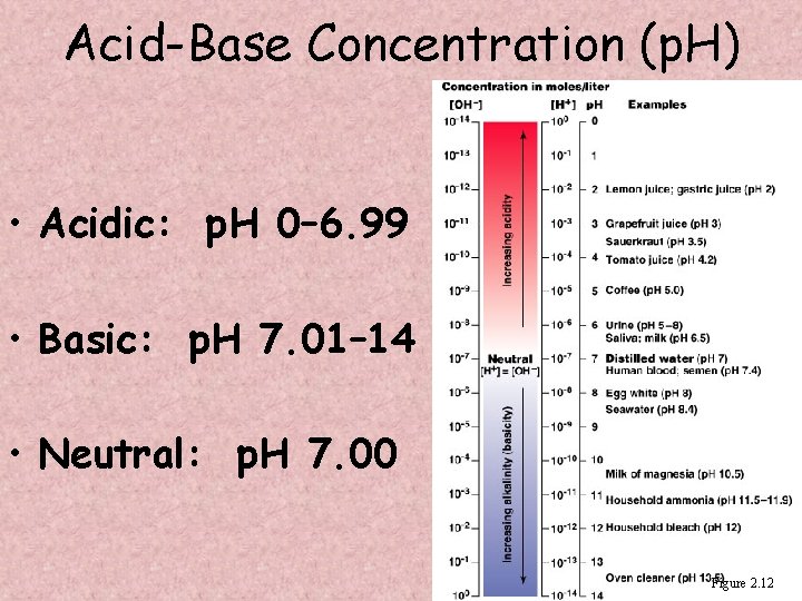 Acid-Base Concentration (p. H) • Acidic: p. H 0– 6. 99 • Basic: p.