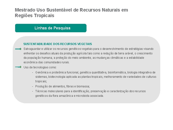 Mestrado Uso Sustentável de Recursos Naturais em Regiões Tropicais Linhas de Pesquisa SUSTENTABILIDADE DOS