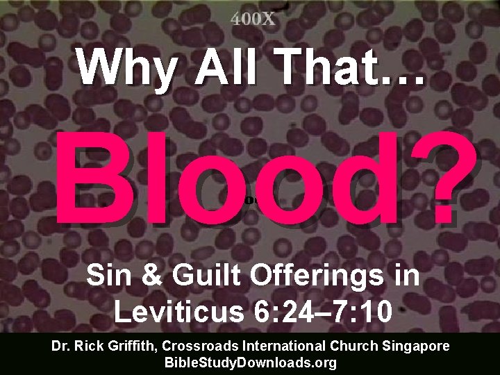 Why All That… Blood? Sin & Guilt Offerings in Leviticus 6: 24– 7: 10