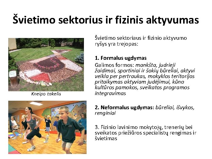 Švietimo sektorius ir fizinis aktyvumas Švietimo sektoriaus ir fizinio aktyvumo ryšys yra trejopas: Kneipo