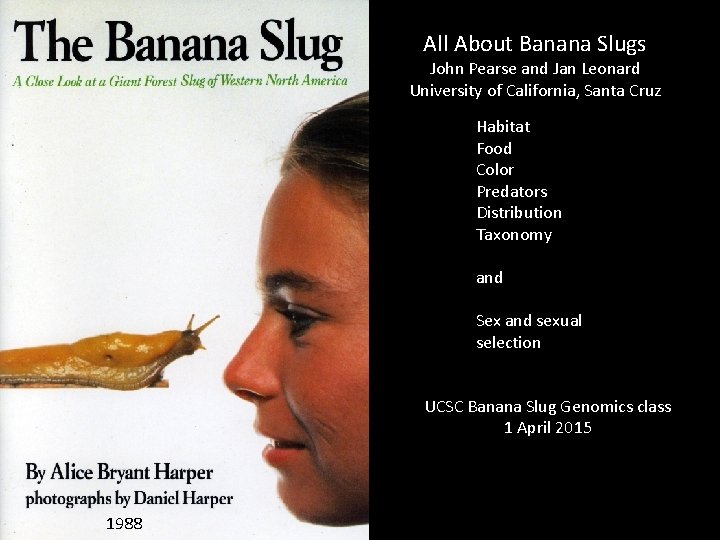 All About Banana Slugs John Pearse and Jan Leonard University of California, Santa Cruz