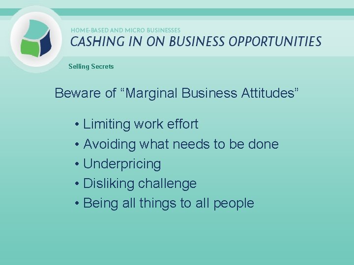 Selling Secrets Beware of “Marginal Business Attitudes” • Limiting work effort • Avoiding what