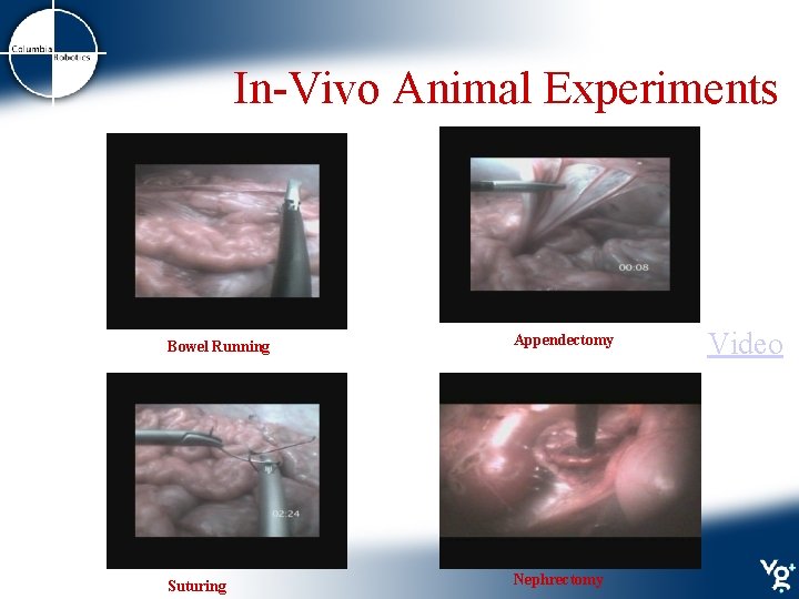 In-Vivo Animal Experiments Bowel Running Appendectomy Suturing Nephrectomy Video 