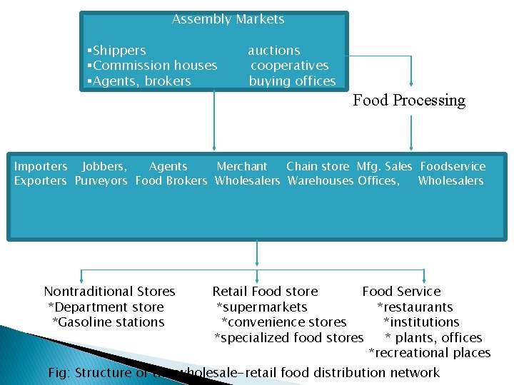 Assembly Markets §Shippers §Commission houses §Agents, brokers auctions cooperatives buying offices Food Processing Importers Assembly Markets §Shippers §Commission houses §Agents, brokers auctions cooperatives buying offices Food Processing Importers