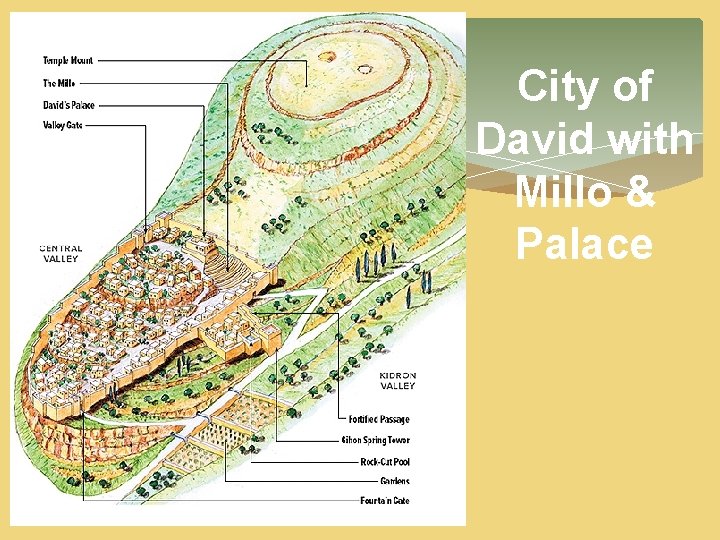 City of David with Millo & Palace City of David with Millo & Palace